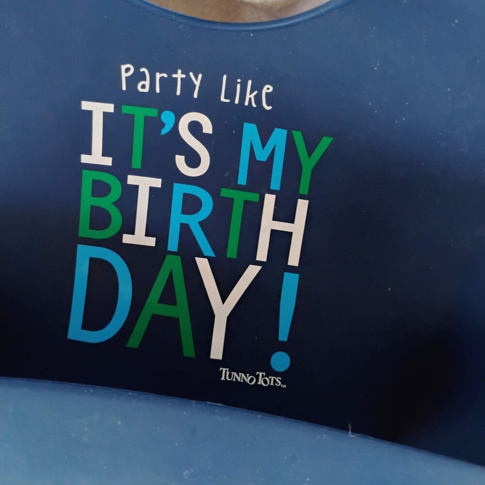 Tunnotots Birthday Bibb + 1ST birthday Party Hat Birthday Boy Bundle